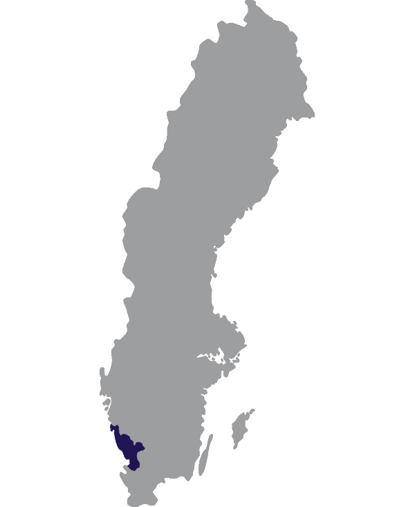 Landkaart Zweden grijs met provincie Halland donkerblauw op transparante achtergrond - 600 * 733 pixels